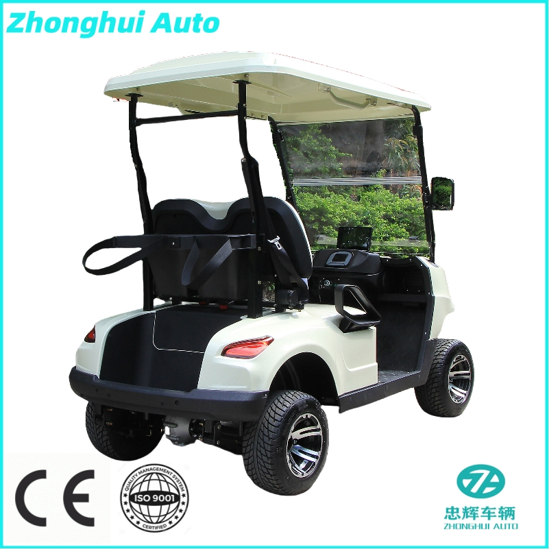 Custom Features and Driving Range Powerful Gasoline Golf Cart