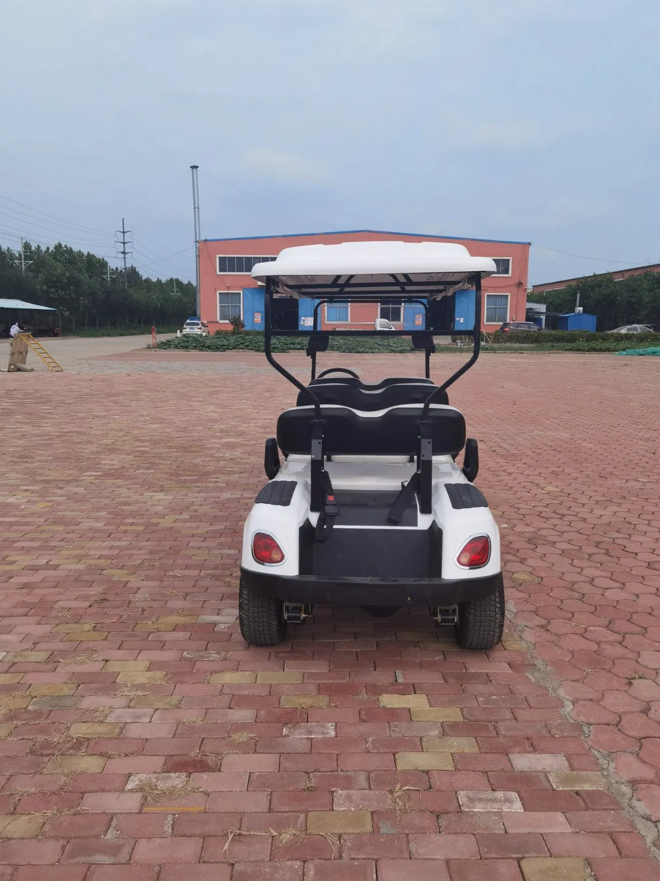 All Terrain Golf Cart 4 Seat Sightseeing Vehicle for Beach Resort Campground and Large Estate Range Golf Cart