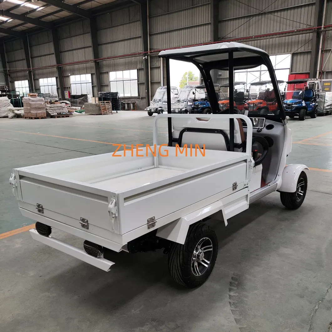 Electric Golf Cart Interior