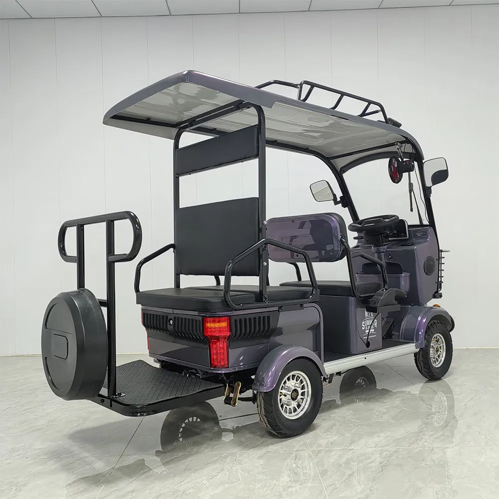 Hld 800W Electric Sightseeing Ebike Used Golf Carts for Sale
