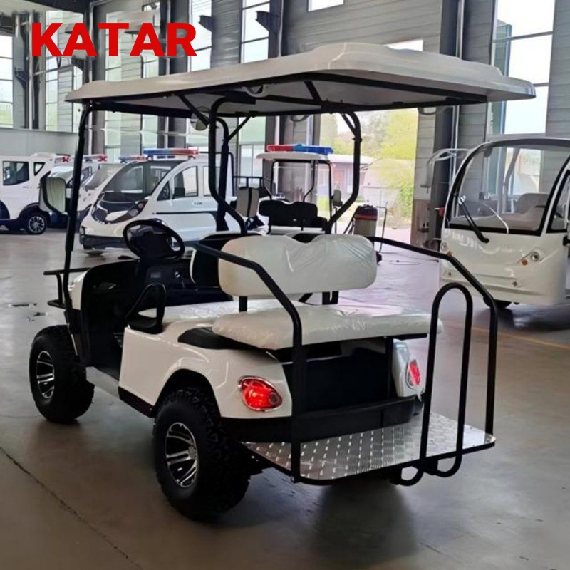 Resort Electric Golf Carts Passengers Classic Sightseeing Bus on Sale