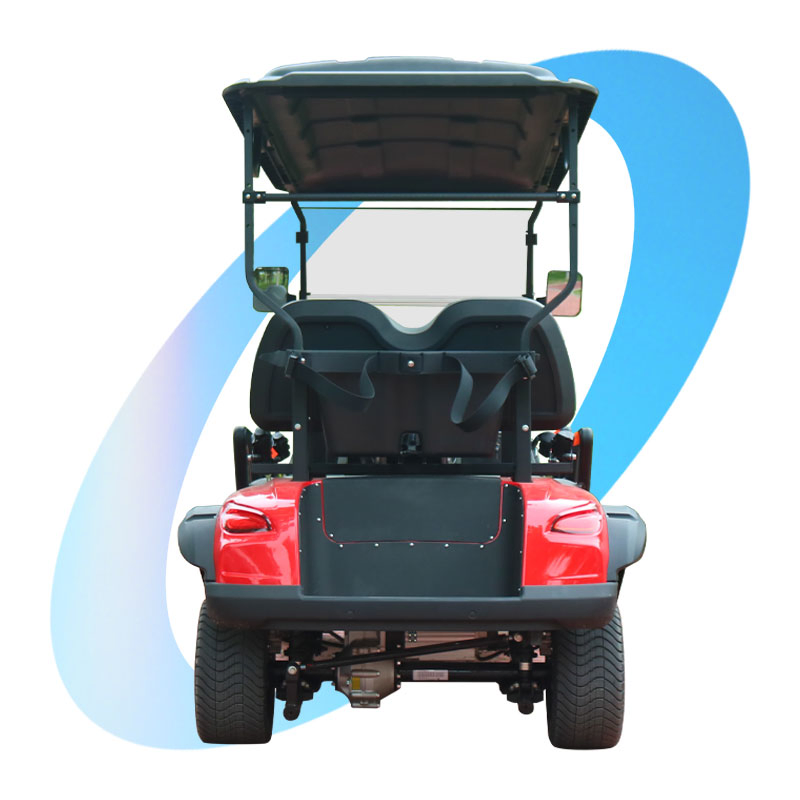 Custom 4-Seaters off-Road Electric Golf Cart Cool Buggy with Aluminum Alloy Side Step