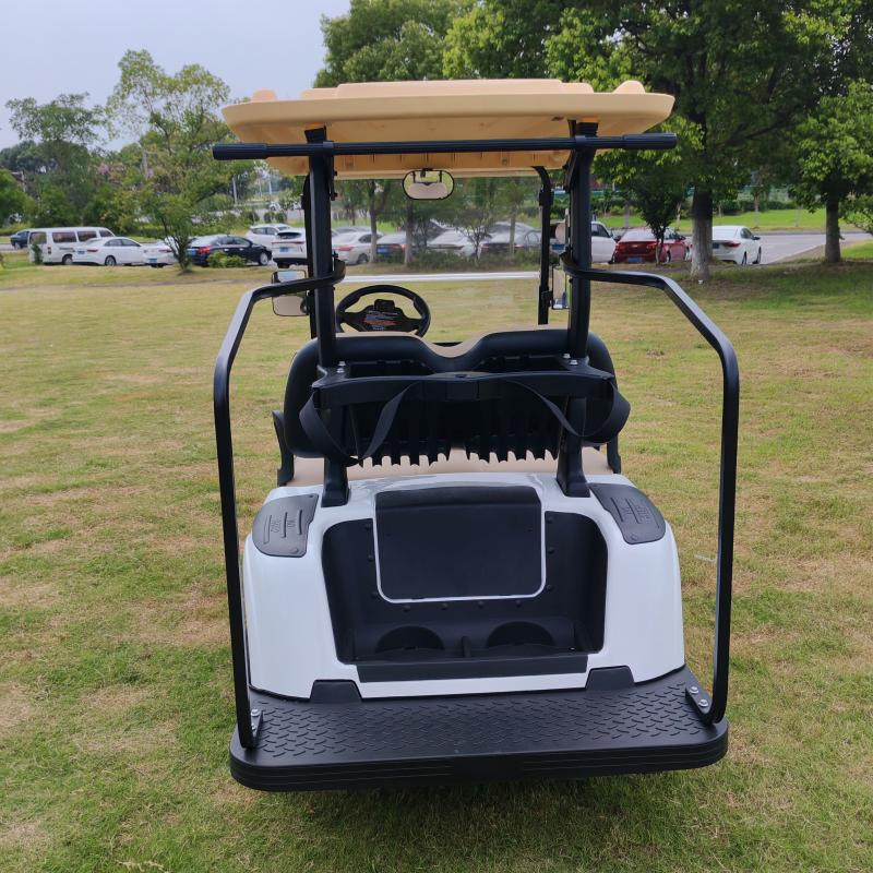 Engine Electric Golf Cart with 2 Seater Capacity Lithium Battery Golf Course Mobile Vehicle