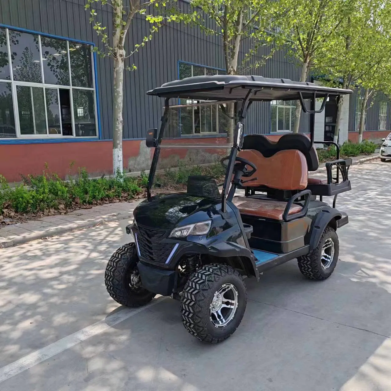 Electric Mini Golf Cart for Adults Fast &amp; Efficient with 48V Battery