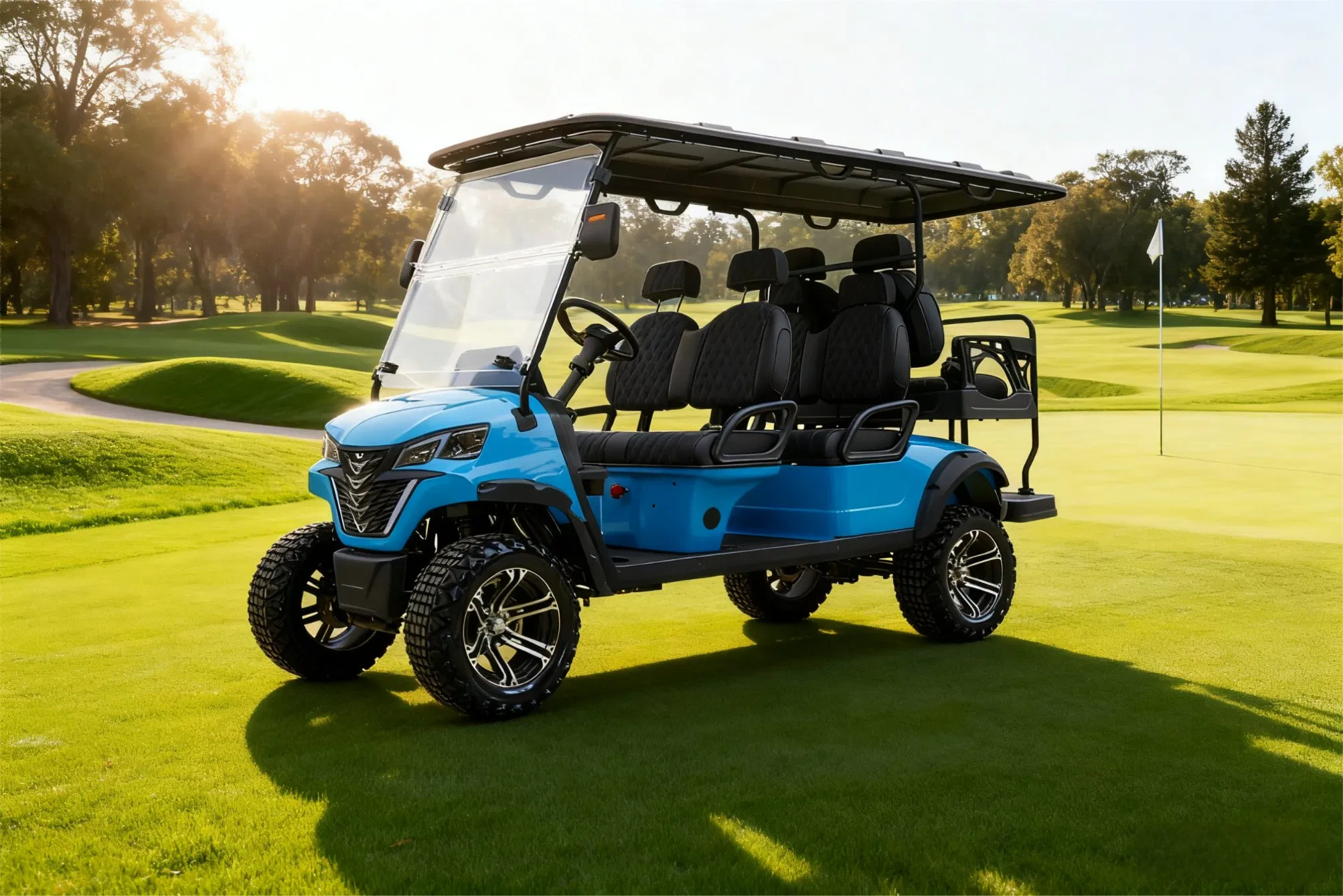 48V/60V/72V AC Motor Electric Golf Cart with Lithium/Lead Acid Battery