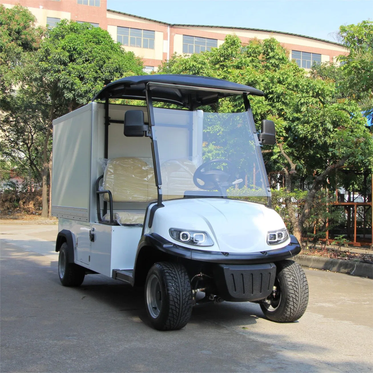 Electric Utility Cart with Fixed Cargo Box 2-Seater Golf Cart with Freight Cargo Electric Work Vehicle