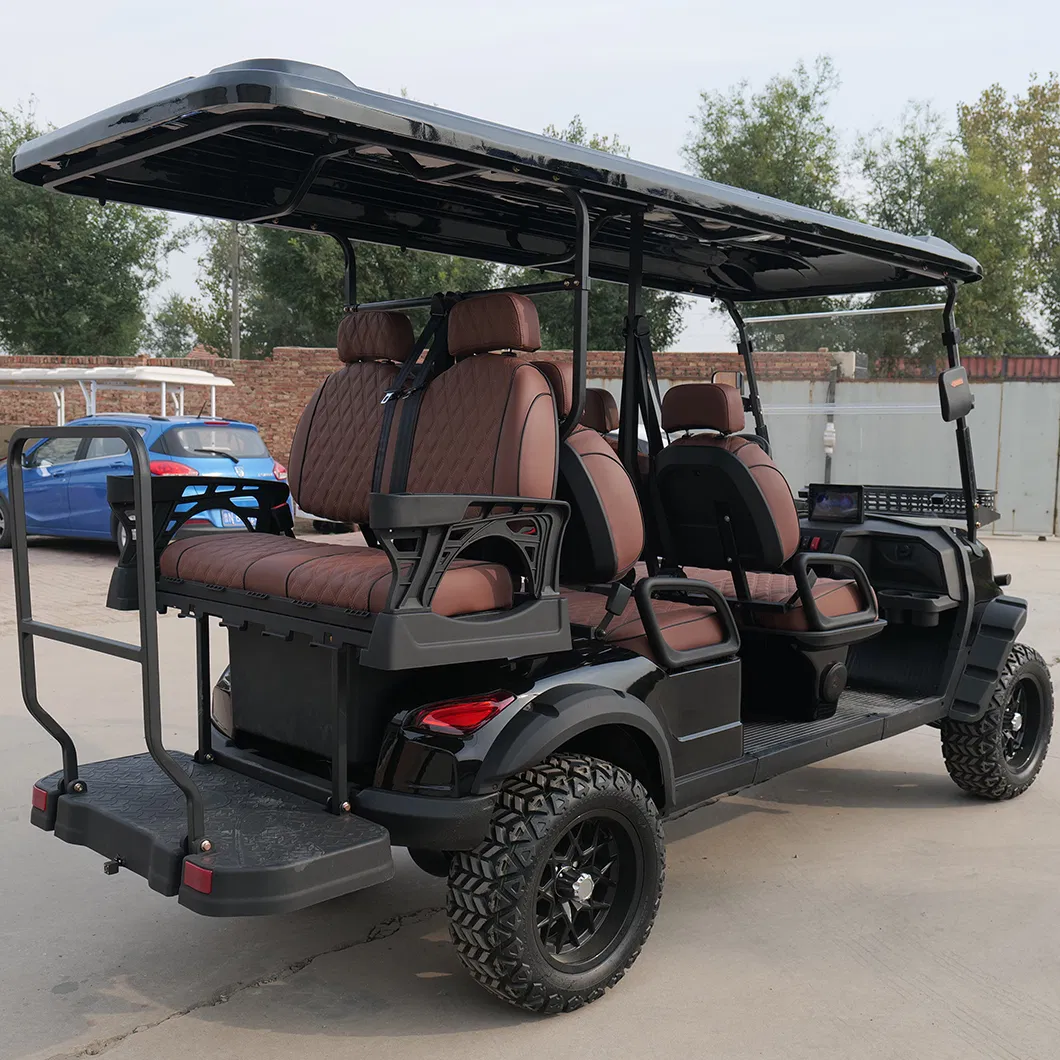Luxury Electric Golf Cart with Customizable 2 Seat and Professional Use