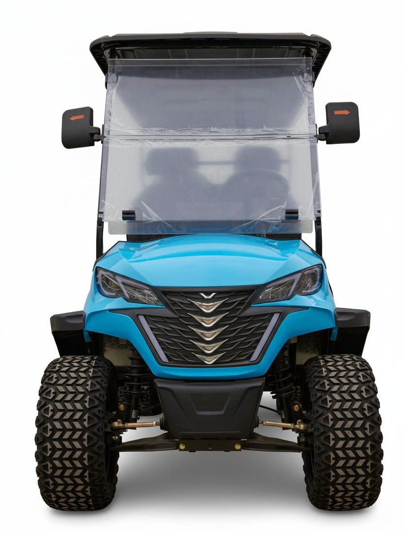 Commercial OEM/ODM Buggy Electric Golf Cart with Maintenance-Free Battery