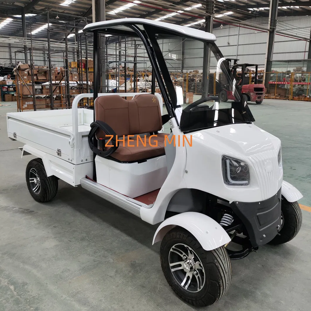 Electric Golf Cart Details