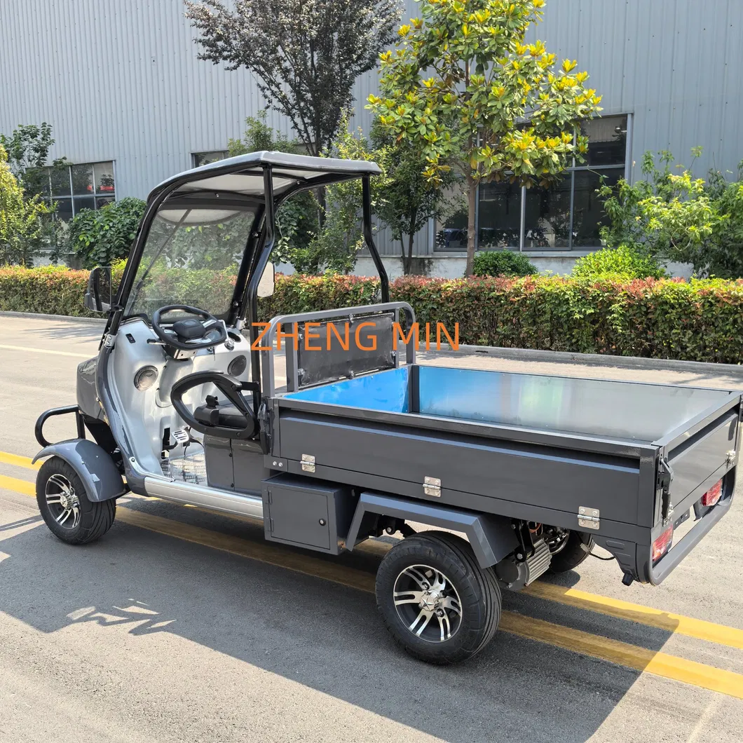 Electric Golf Cart Dashboard