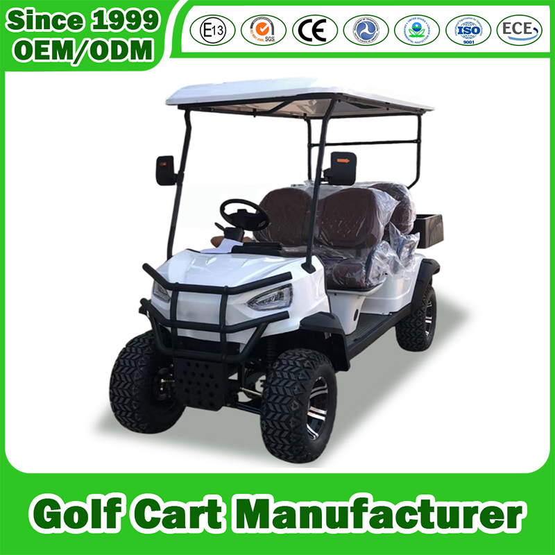 2+2 4 Seater/Passenger Factory Supply Club Car Street Legal Gas Powered Gasoline Petrol Motor Golf Cart Factory for Golf Course, Tourist Area