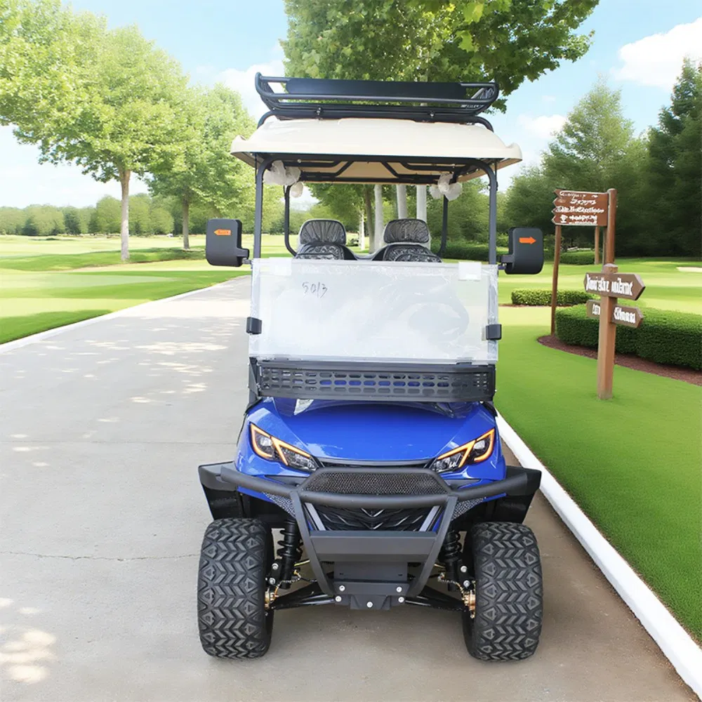 2025 New Design Black Golf Carts Electric Battery 6 Seater off Road Buggy Golf Car Gas Power Accept Customize