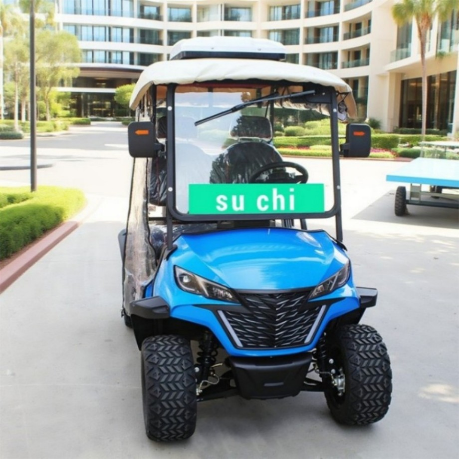 Golf Courses Dedicated 2-Seats Electric Golf Carts with 48V/60V/72V Batteries Providing Customization and OEM Processing Service