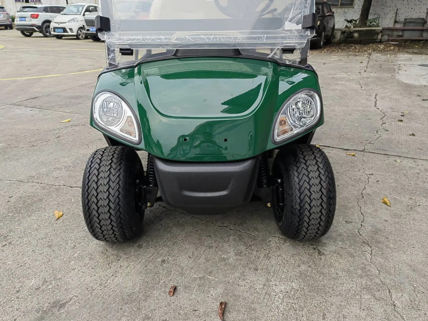 48V/72 Lithium Battery 2 Seats Great Quality Electric Car Golf Cart for Choose