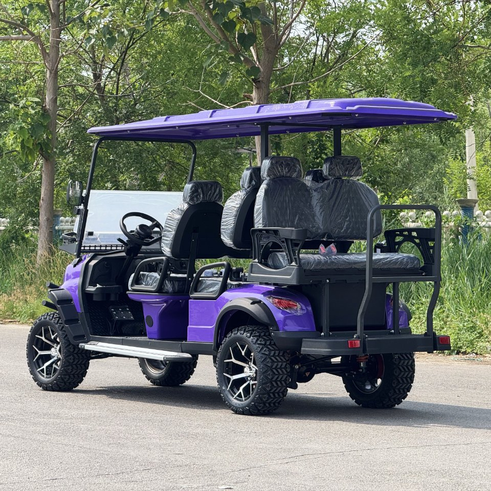 China Best Professional Custom Club 4 Person Car 60V Golf Carts Electric Powered Black 2+2 Seats for Sale