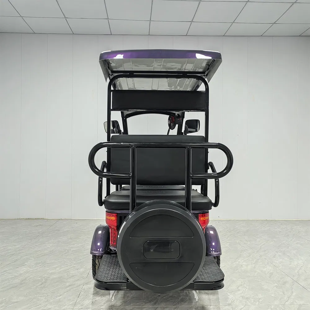 Hld 800W Electric Sightseeing Ebike Used Golf Carts for Sale