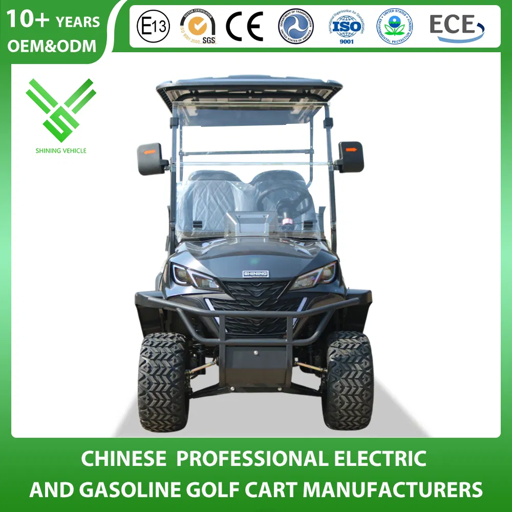Shininglsv Brand Custom Logo Golf Cart 4 Seater Electric Golf Cart