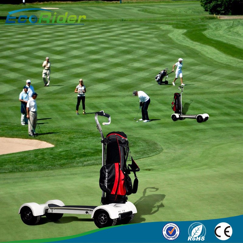 Cheap 20.8ah 60V 1000W Golf Board Used Electric Golf Carts