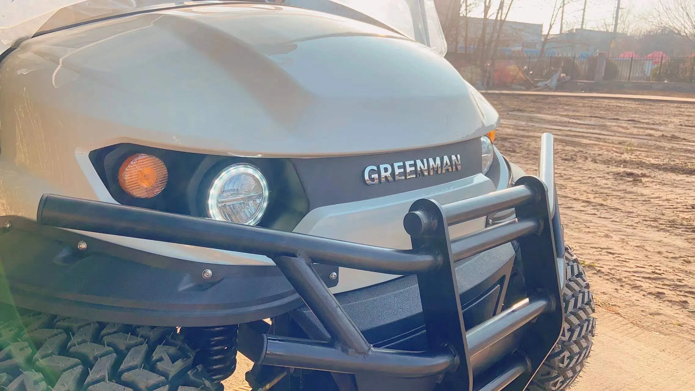 4+2 Electric Golf Car New Stylish Golf Cart for Hunting with High Cost Performance