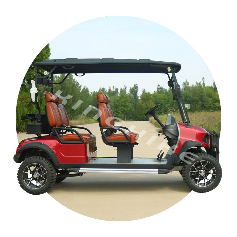 Street Legal ODM Custom Golf Cart 2 4 6 8 Seats Seater Hunting off Road Electric Golf Carts with Curtis Controller
