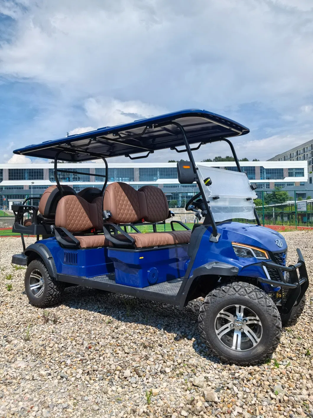 Electric Golf Cart