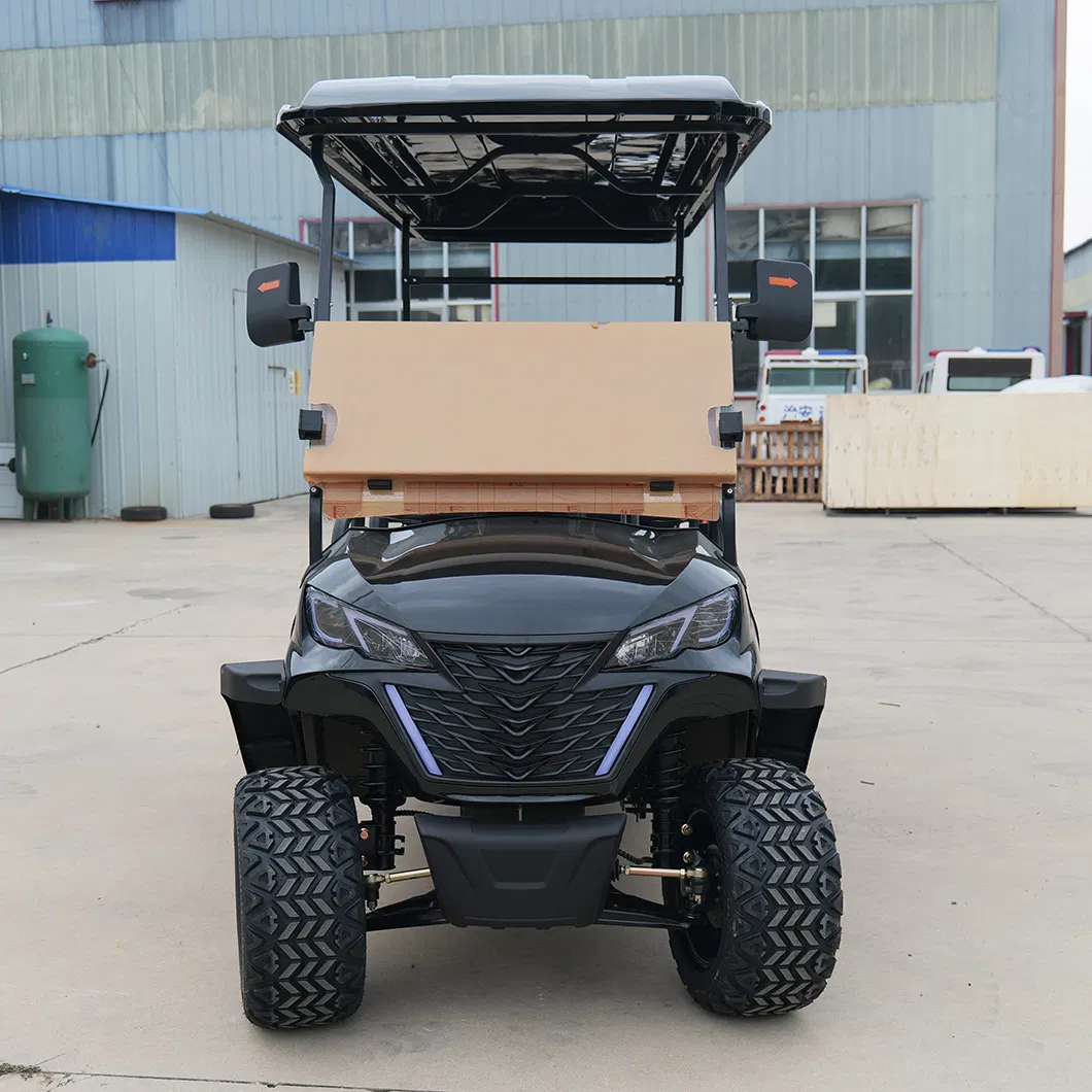 Luxury Electric Golf Cart with Customizable 2 Seat and Professional Use