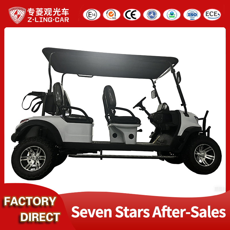 Premium Custom Golf Carts and Parts for Global Distribution