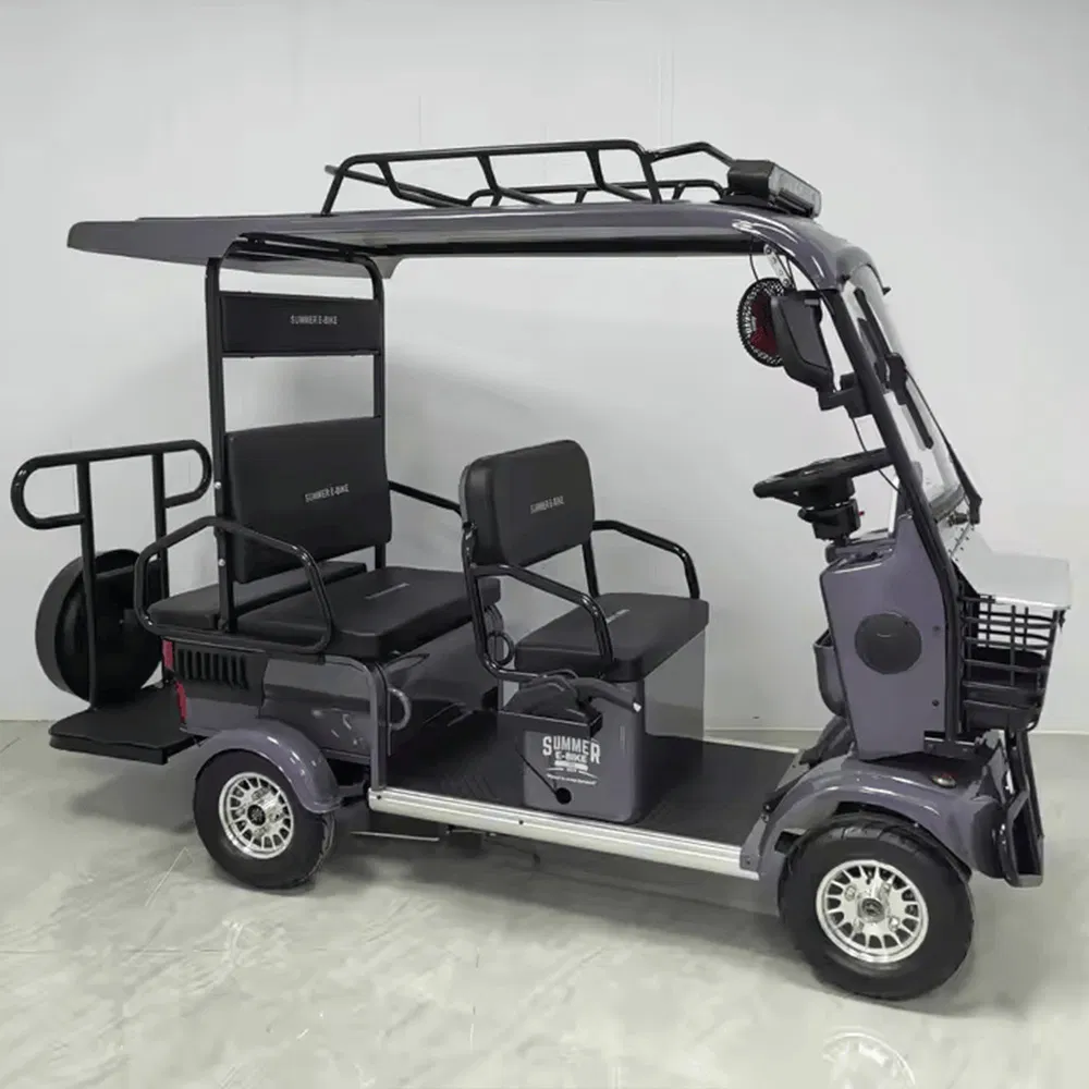 Hld 800W Electric Sightseeing Ebike Used Golf Carts for Sale