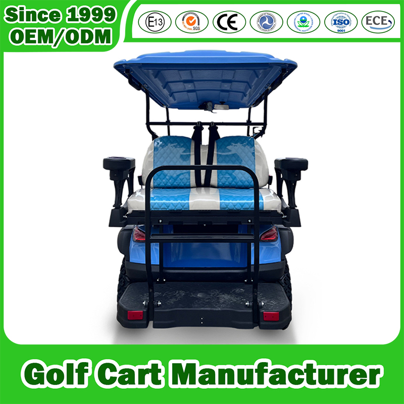 4 Seater Electric Gasoline Gas Petrol Lifted Solar Lithium Golf Cart Offroad 2/4/6/8 Passengers Hunting Lsv Sightseeing Golf Cart manufacturer
