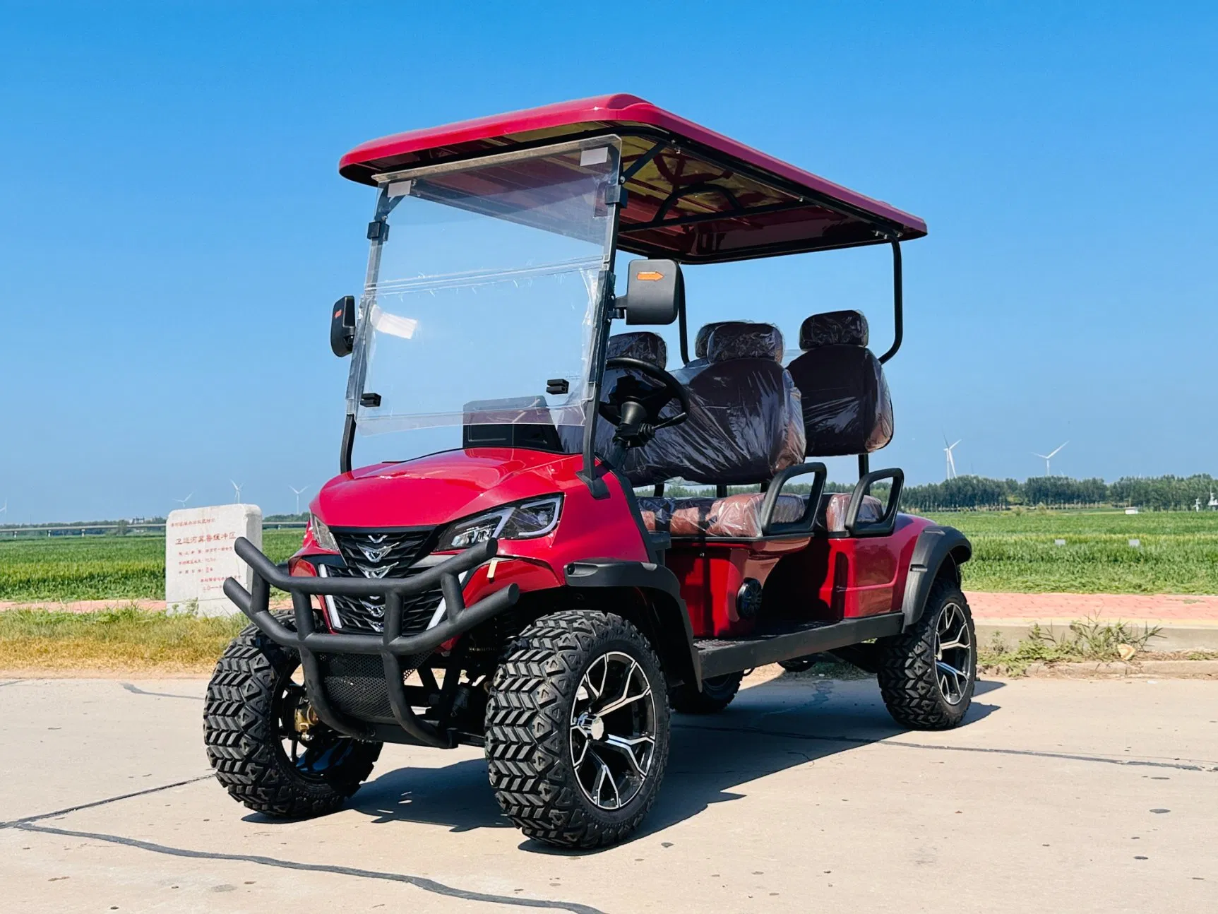 Lead-Acid Maintenance-Free Electric Golf Carts with Custom Design
