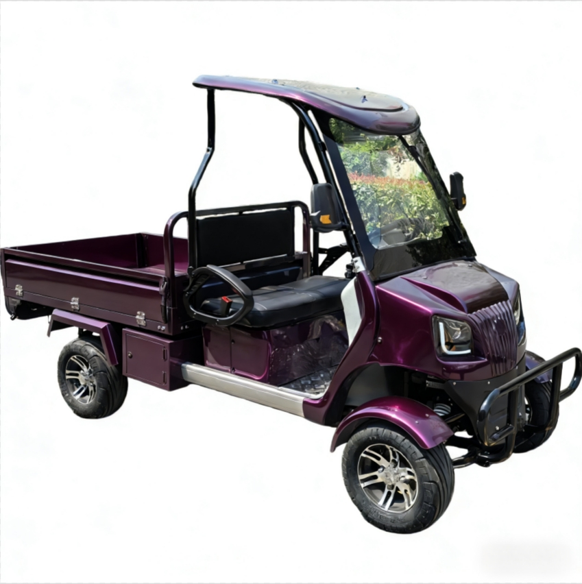 Wholesale CE Approved Adult Battery Operated 60V2500W Electric Golf Cart with Cargo Box