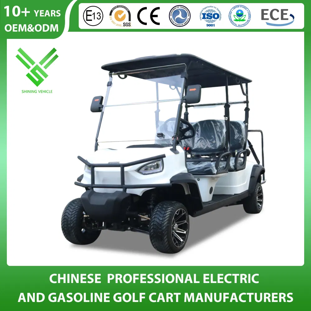 Shininglsv Brand Electric Luxury Lead Acid Battery 48V Legal Road Golf Cart