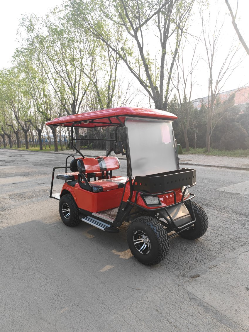 Brand New Gas Type and Electric Golf Carts 2 4 6 8 Seats off-Road Sightseeing Golf Cart