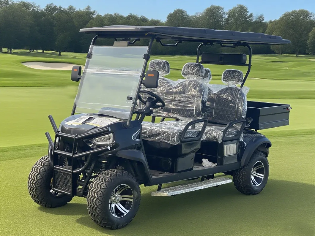 Gas Golf Cart View 1