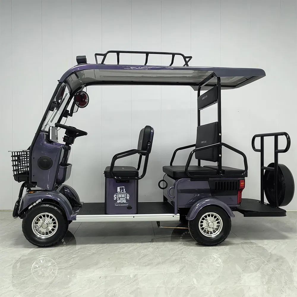 Hld 800W Electric Sightseeing Ebike Used Golf Carts for Sale