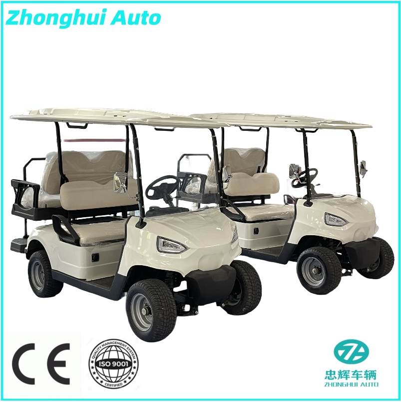 2025 New Gasoline Powered 4X4 UTV 6 Seater off Road Hunting Cart Gas Golf Car