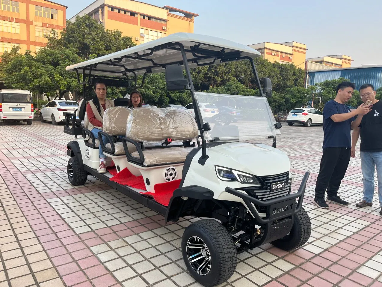 CE Custom Utility Vehicle 8 Seat Golf Cart Golf 8