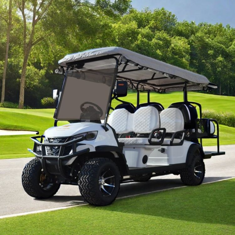 2024 New Design Upgraded Display CE Approved 6 Seater off Road Gas Powered or Electric Club Car 4X4 Hunting Golf Carts