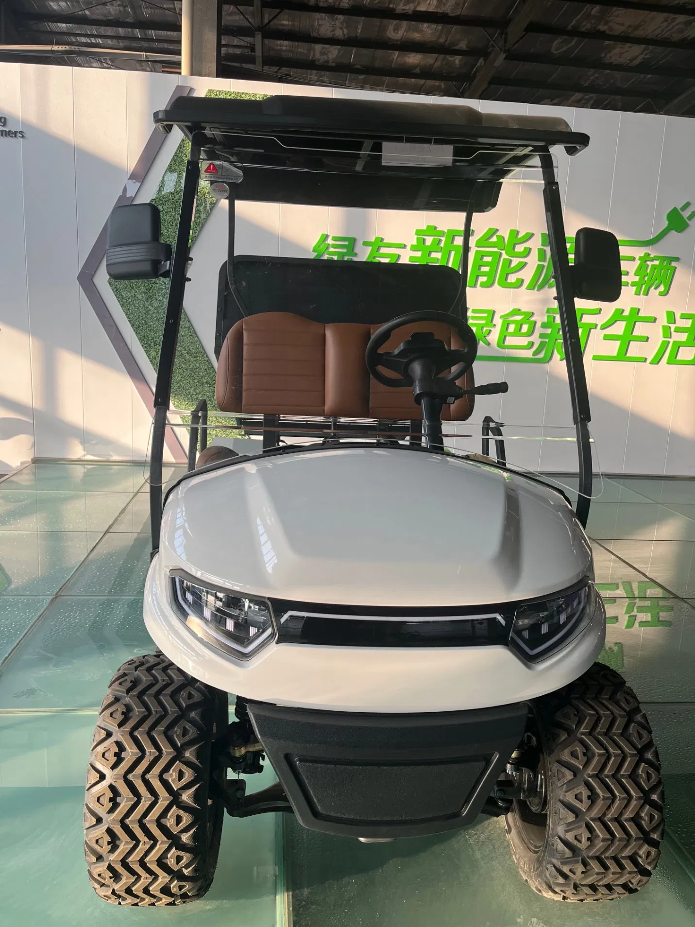 Utility Golf Car, 2 Seats Electric Golf Cart, Aluminum Alloy Cargo Box