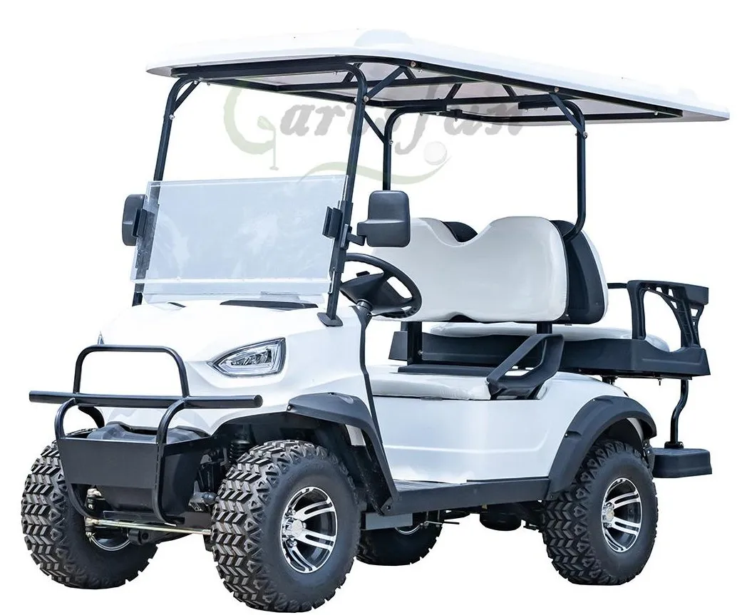 Electric Golf Cart