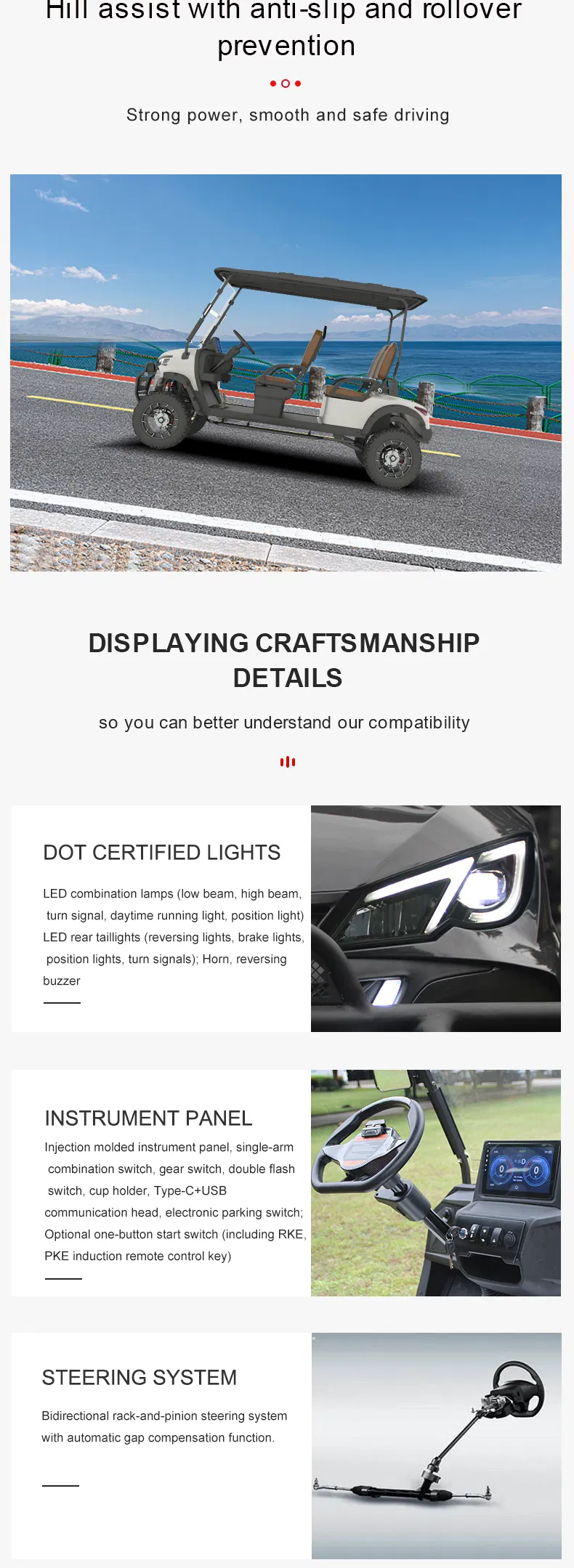 Gas Golf Cart Detail 3