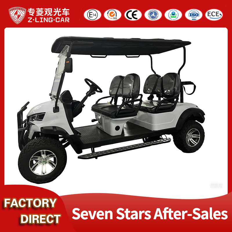 Premium Custom Golf Carts and Parts for Global Distribution