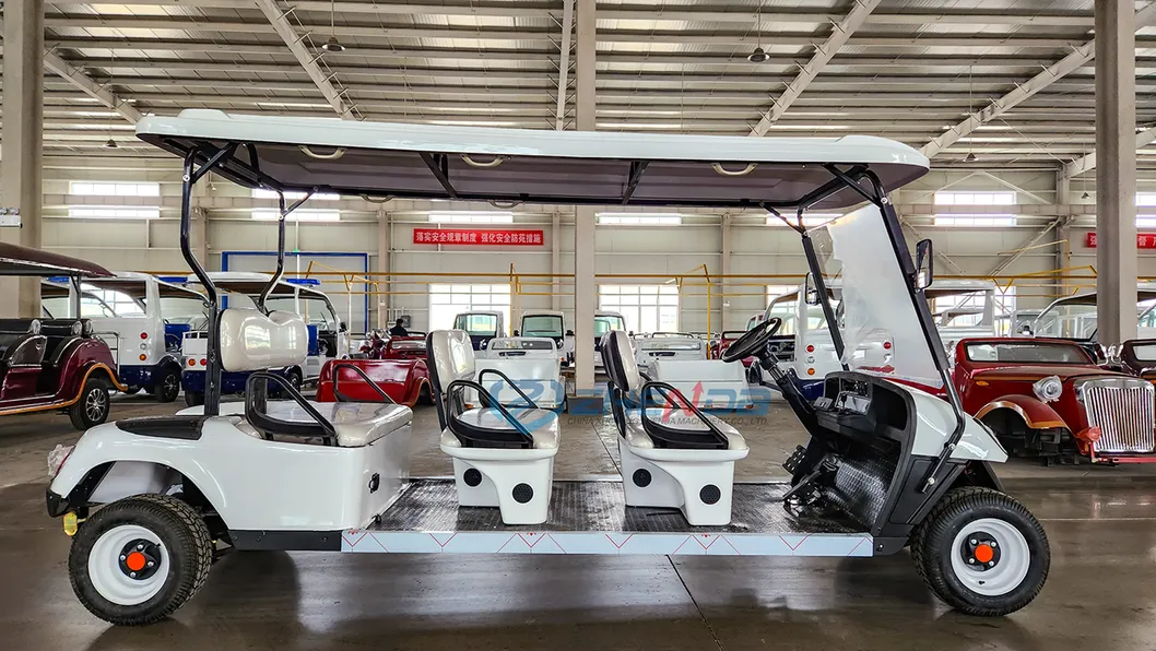 Electric Golf Cart Section