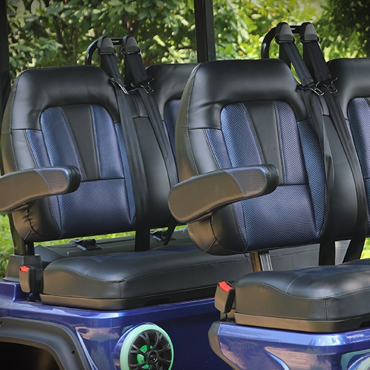 Factory New Hdk Evolution Electric Lithium Battery D5 4 Seater Golf Cart