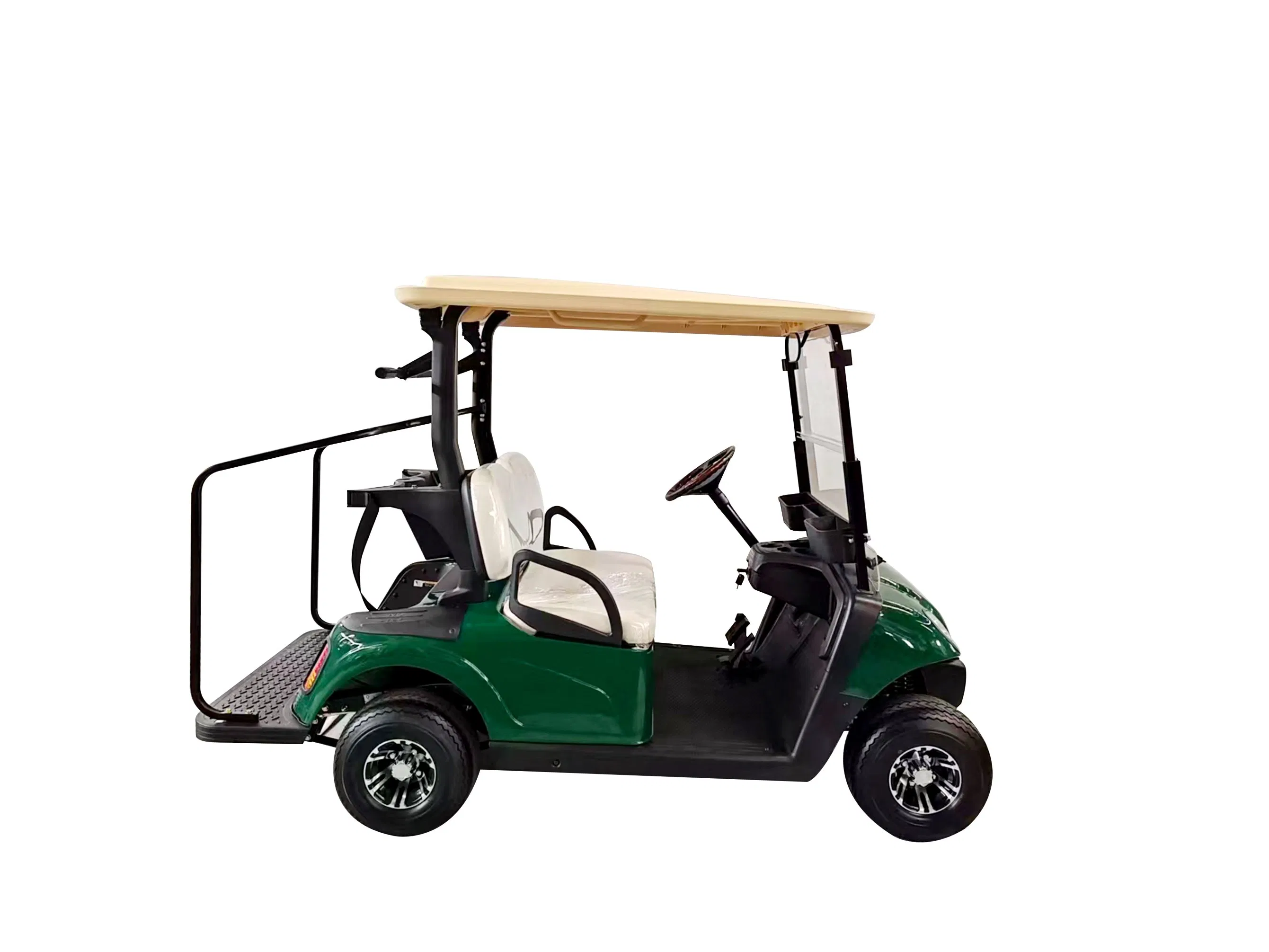 48V/72 Lithium Battery 2 Seats Great Quality Electric Car Golf Cart for Choose