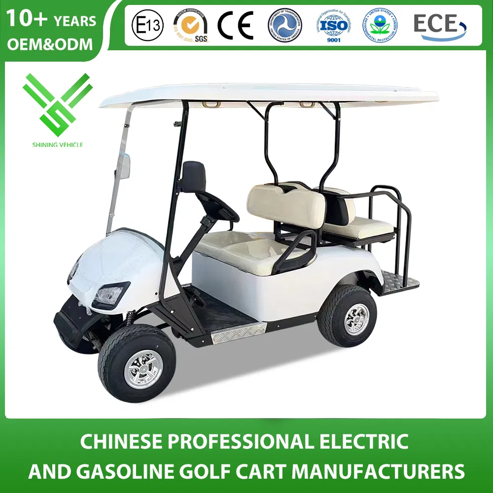 Curtis Controller 4 Seater Classic Electric Golf Cart with Cargo Box for Sale
