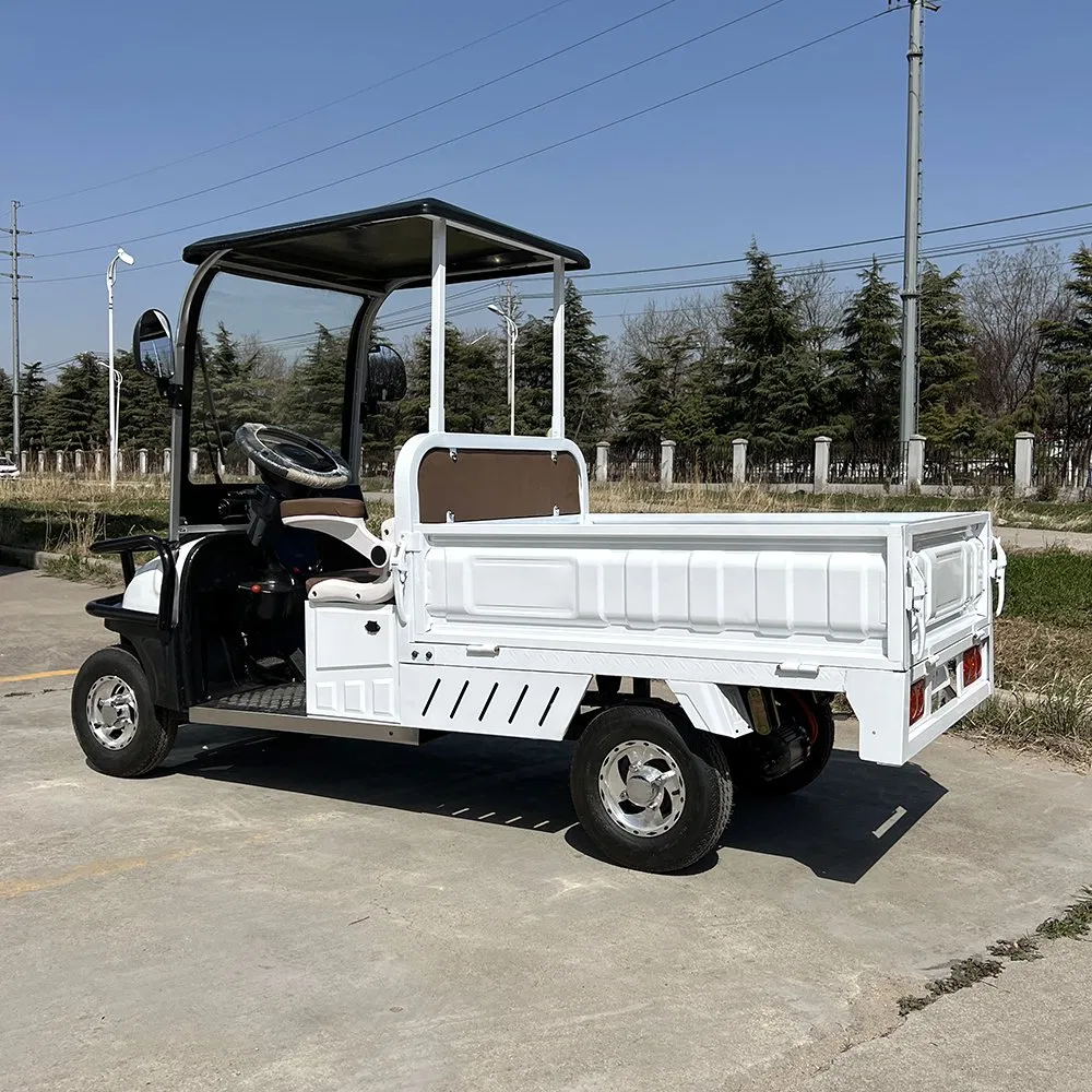 Senka South African Market 4 Wheels 1500W Motor Farm Use off Road Electric Golf Buggies Golf Cart with Cargo Box