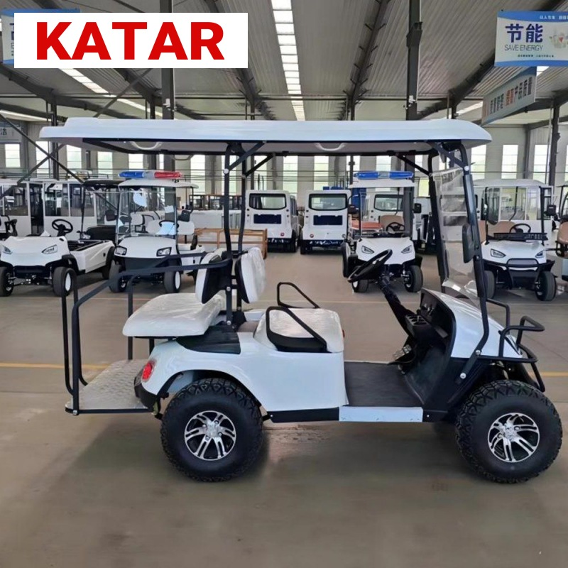 Resort Electric Golf Carts Passengers Classic Sightseeing Bus on Sale