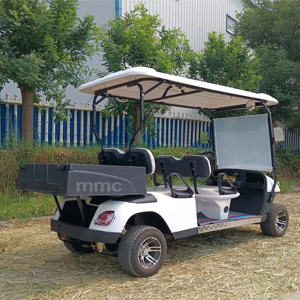 Street Legal 5000W 48V Electric Golf Cart Convertible Sightseeing Golf Car 2 Seater Lithium Battery Golf Carts with Cargo Box