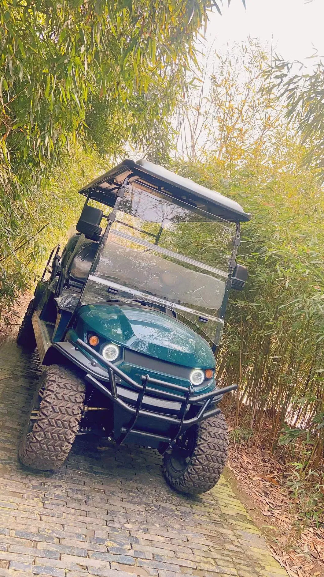 Electric Golf Car Detail 1